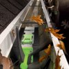 iRobot Looj - Gutter Cleaning Robot (w/ Video)