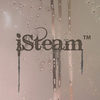iSteam - iPhone Steam Simulator App