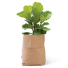 Italian Leather Planter Sacks for Potted Plants