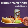 It's Not Paper! - Reusable Paper Plates