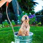 Ivation Battery-Powered Portable Handheld Shower