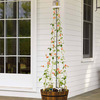 Jack And The Beanstalk Potted Plant Trellis Kit