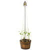 Jack And The Beanstalk Potted Plant Trellis Kit