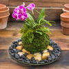 Japanese Kokedama Gardening Kit - Create Unique Living Art
