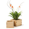 Japanese Sake Box Cachepots