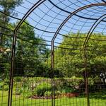 Jardin Meandering Curved Arch Garden Trellis