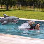JAWS 50th Anniversary Giant Inflatable Pool Shark