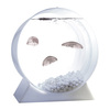Jellyfish Aquarium