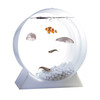Jellyfish Aquarium