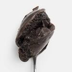 Jeni's OPAQUE - All-Black Ice Cream