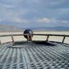 Badonkadonk Land Cruiser / Battle Tank