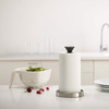 Joseph Joseph Push and Tear Paper Towel Holder