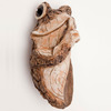 Keep Quiet Tree Frog Peeker Sculpture
