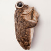 Keep Quiet Tree Frog Peeker Sculpture