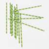 Kikkerland Birch and Bamboo Paper Straws