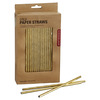 Kikkerland Gold Paper Straws