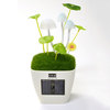 Kinoko - Customizable Mushroom Lamp