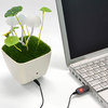 Kinoko - Customizable Mushroom Lamp