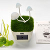 Kinoko - Customizable Mushroom Lamp