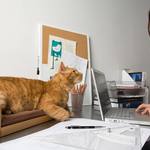 Kit-In Box - Desktop Cat Bed