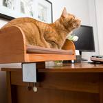 Kit-In Box - Desktop Cat Bed