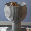 Kitty Ball Cat Bed