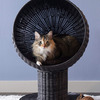 Kitty Ball Cat Bed