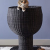 Kitty Ball Cat Bed