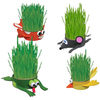 Kitty Can Chews Organic Cat Grass