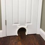 Kitty Pass - Interior Cat Door