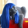 Kitty Wigs