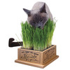 Kitty's Garden - Organic Cat Grass Kit