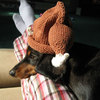 Knitted Turkey Baby Hat
