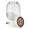 Kombucha Brew Kit