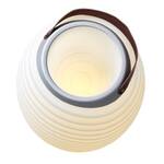 Kooduu Synergy - LED Lantern /  Wine Bottle Cooler / Bluetooth Speaker