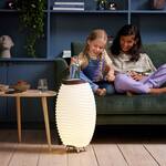 Kooduu Synergy - LED Lantern /  Wine Bottle Cooler / Bluetooth Speaker