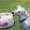 Kool Dogz Ice Treat Maker