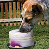 Kool Dogz Ice Treat Maker