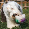 Kool Dogz Ice Treat Maker