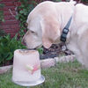 Kool Dogz Ice Treat Maker