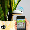 Koubachi Wi-Fi Plant Sensor