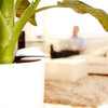Koubachi Wi-Fi Plant Sensor