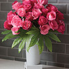Kulvase - Life Extending Flower Vase