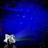 Laser Stars - Powerful Green Laser and Holographic Projector