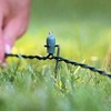 Lawn Lights - Illuminate Your Entire Yard!