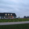 Lawn Lights - Illuminate Your Entire Yard!