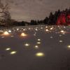 Lawn Lights - Illuminate Your Entire Yard!