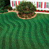 Lawn Stryper - Pattern Your Lawn Like The Pros