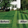 Lawn Stryper - Pattern Your Lawn Like The Pros