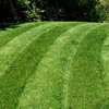 Lawn Stryper - Pattern Your Lawn Like The Pros